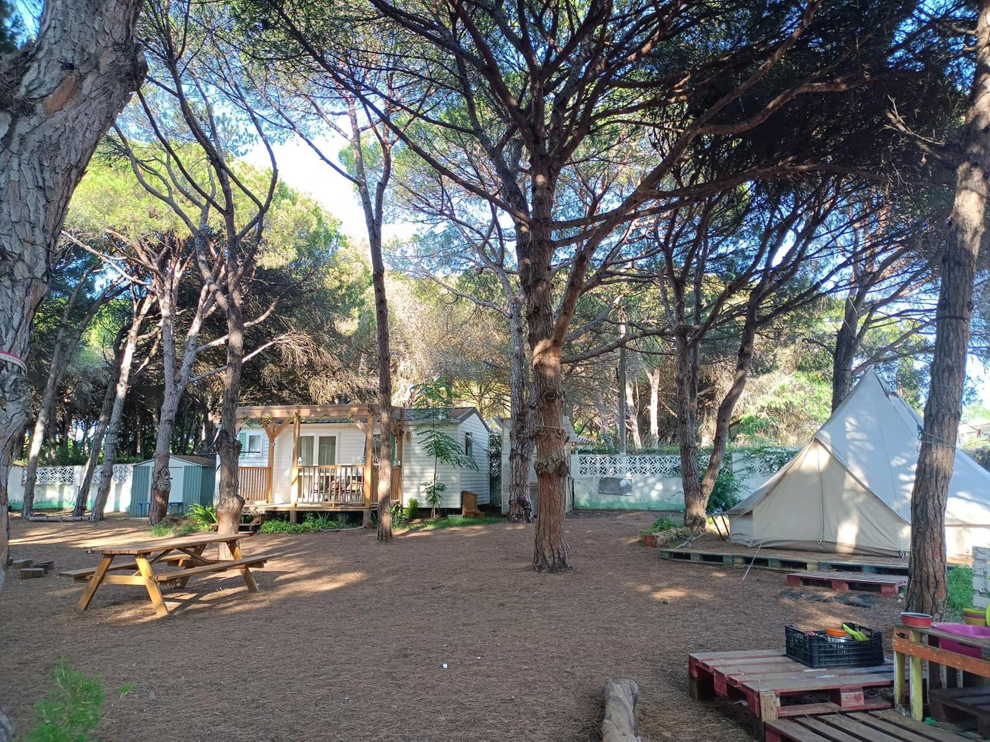 The Pineforest Cabin Chiclana de la Frontera Exterior foto
